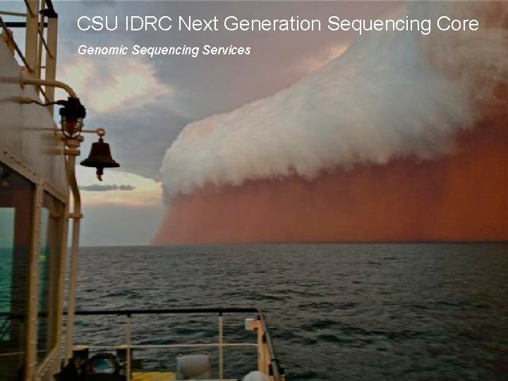 CSU IDRC Next Generation Sequencing Core Genomic Sequencing Services 