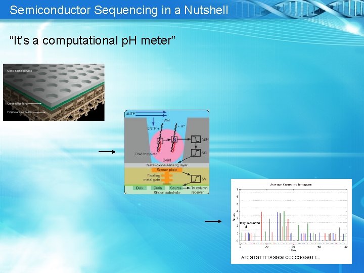Semiconductor Sequencing in a Nutshell “It’s a computational p. H meter” 