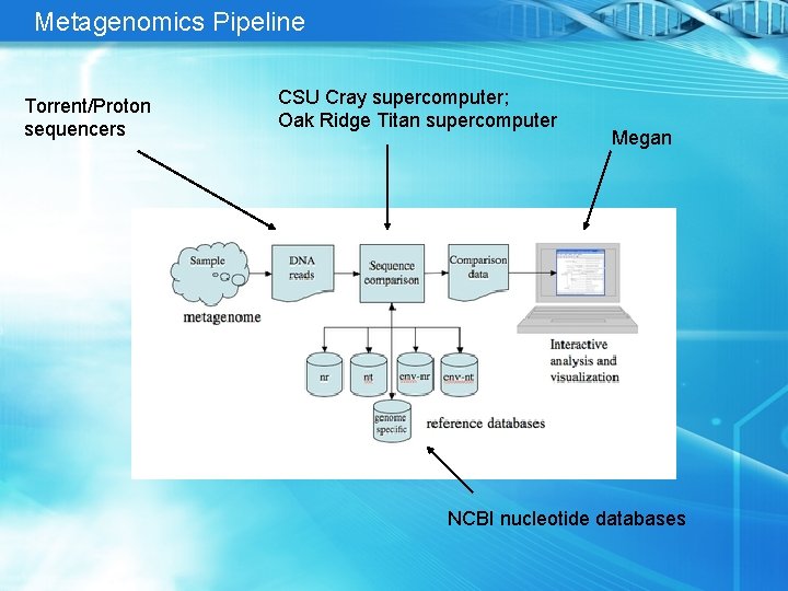 Metagenomics Pipeline Torrent/Proton sequencers CSU Cray supercomputer; Oak Ridge Titan supercomputer Megan NCBI nucleotide