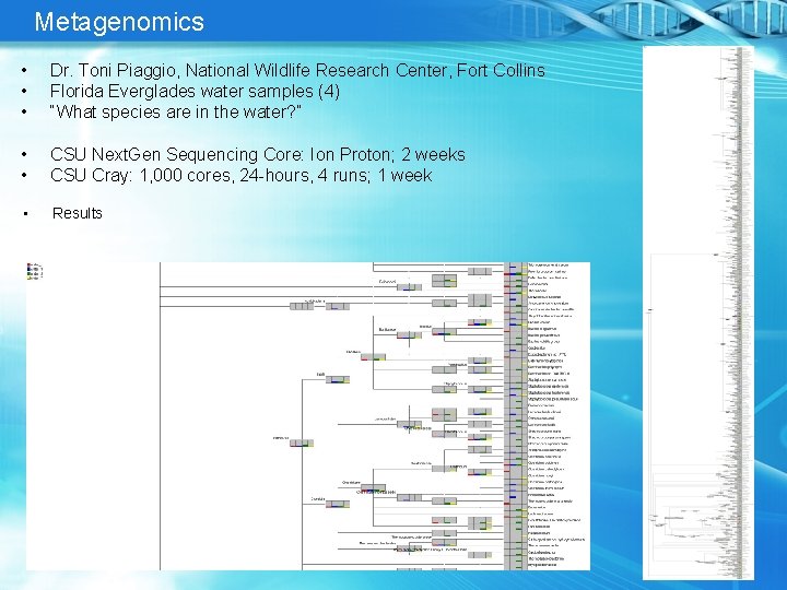 Metagenomics • • • Dr. Toni Piaggio, National Wildlife Research Center, Fort Collins Florida