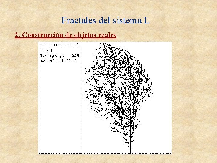 Fractales del sistema L 2. Construcción de objetos reales Fractales del sistema L 2. Construcción de objetos reales
