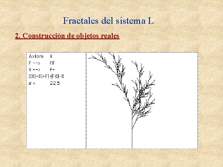Fractales del sistema L 2. Construcción de objetos reales Fractales del sistema L 2. Construcción de objetos reales
