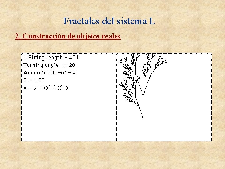 Fractales del sistema L 2. Construcción de objetos reales Fractales del sistema L 2. Construcción de objetos reales