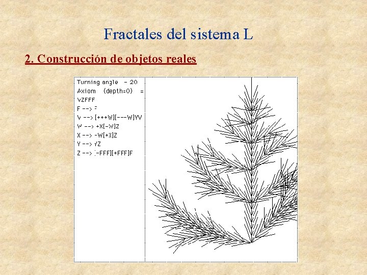 Fractales del sistema L 2. Construcción de objetos reales Fractales del sistema L 2. Construcción de objetos reales