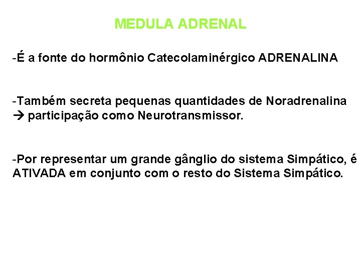 MEDULA ADRENAL -É a fonte do hormônio Catecolaminérgico ADRENALINA -Também secreta pequenas quantidades de