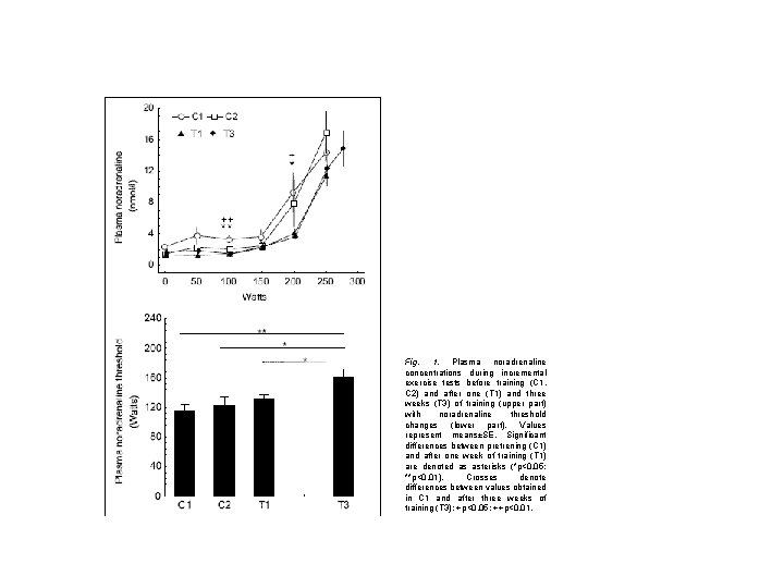  Fig. 1. Plasma noradrenaline concentrations during incremental exercise tests before training (C 1,