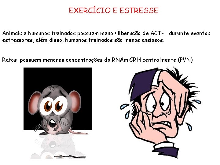 EXERCÍCIO E ESTRESSE Animais e humanos treinados possuem menor liberação de ACTH durante eventos