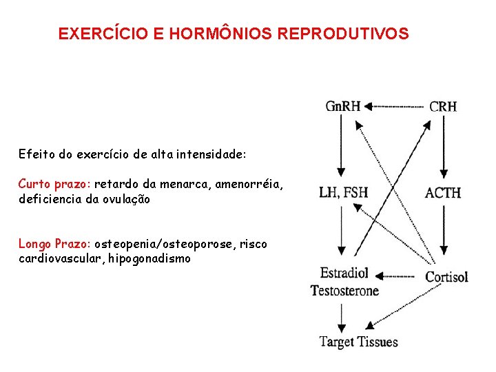 EXERCÍCIO E HORMÔNIOS REPRODUTIVOS Efeito do exercício de alta intensidade: Curto prazo: retardo da