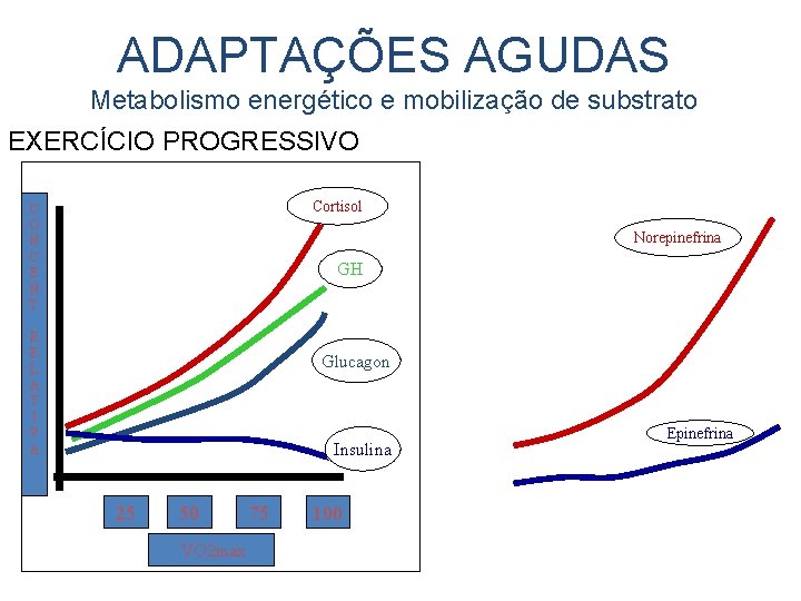 ADAPTAÇÕES AGUDAS Metabolismo energético e mobilização de substrato EXERCÍCIO PROGRESSIVO Cortisol C O N