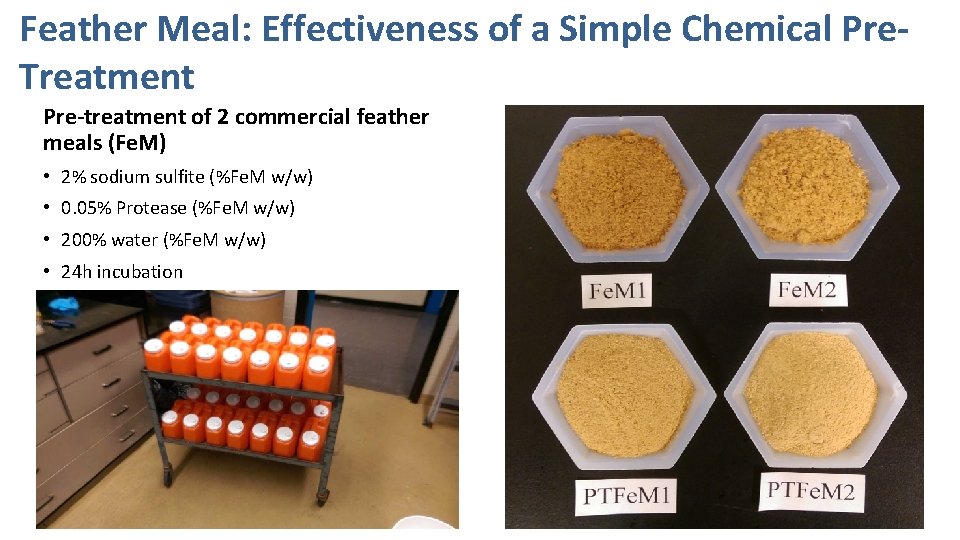 Feather Meal: Effectiveness of a Simple Chemical Pre. Treatment Pre-treatment of 2 commercial feather