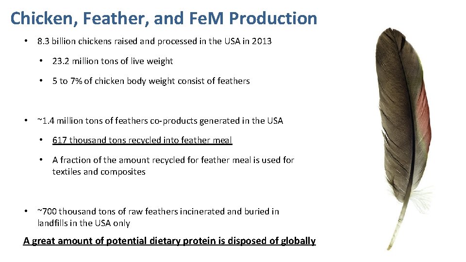Chicken, Feather, and Fe. M Production • 8. 3 billion chickens raised and processed