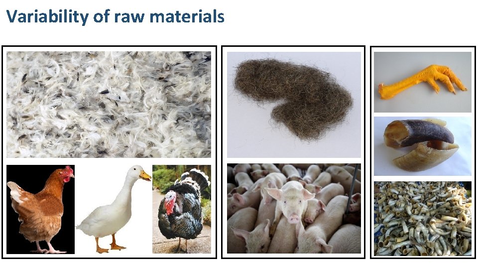 Variability of raw materials 