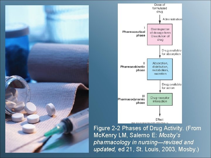 Figure 2 -2 Phases of Drug Activity. (From Mc. Kenry LM, Salerno E: Mosby’s