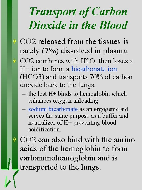 Transport of Carbon Dioxide in the Blood H CO 2 released from the tissues Transport of Carbon Dioxide in the Blood H CO 2 released from the tissues