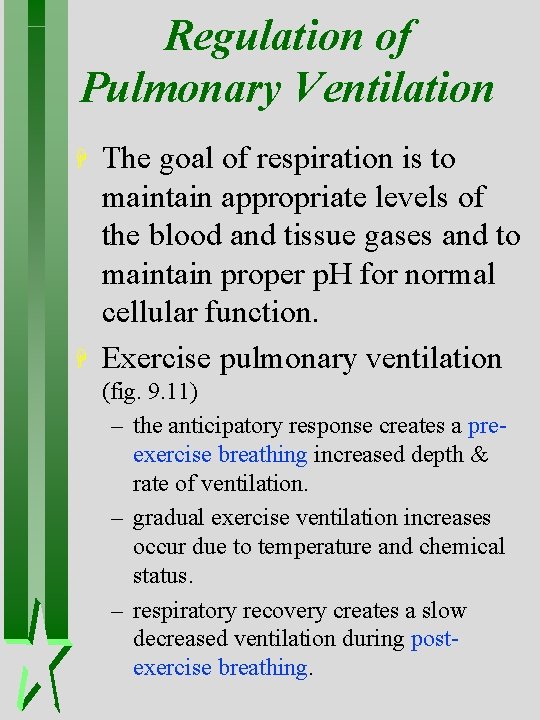 Regulation of Pulmonary Ventilation H H The goal of respiration is to maintain appropriate Regulation of Pulmonary Ventilation H H The goal of respiration is to maintain appropriate