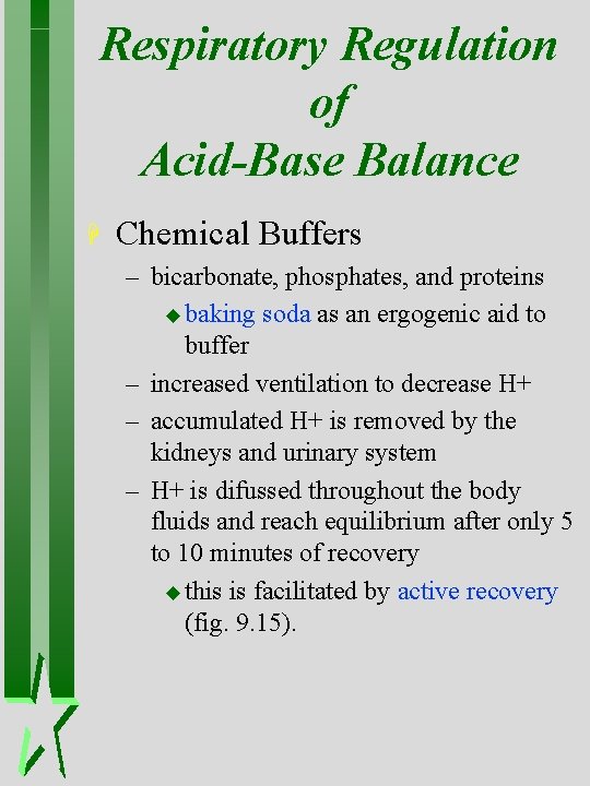 Respiratory Regulation of Acid-Base Balance H Chemical Buffers – bicarbonate, phosphates, and proteins u Respiratory Regulation of Acid-Base Balance H Chemical Buffers – bicarbonate, phosphates, and proteins u