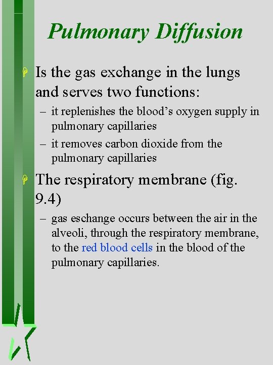 Pulmonary Diffusion H Is the gas exchange in the lungs and serves two functions: Pulmonary Diffusion H Is the gas exchange in the lungs and serves two functions: