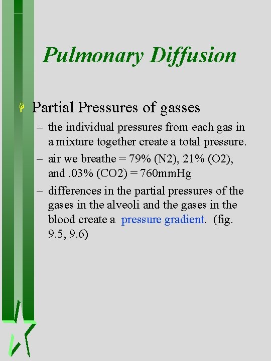 Pulmonary Diffusion H Partial Pressures of gasses – the individual pressures from each gas Pulmonary Diffusion H Partial Pressures of gasses – the individual pressures from each gas