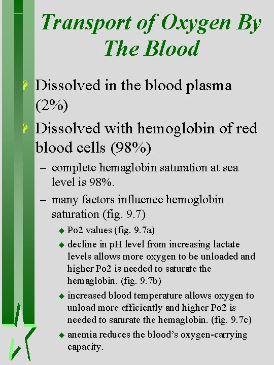 Transport of Oxygen By The Blood H H Dissolved in the blood plasma (2%) Transport of Oxygen By The Blood H H Dissolved in the blood plasma (2%)