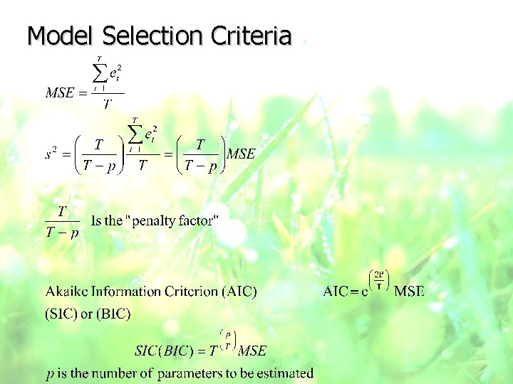 Model Selection Criteria 
