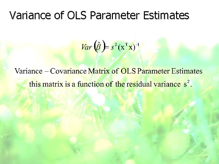 Variance of OLS Parameter Estimates 