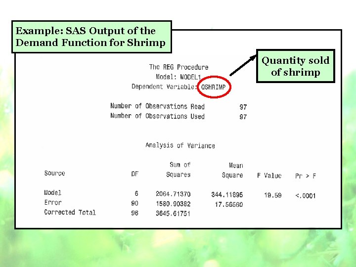 Example: SAS Output of the Demand Function for Shrimp Quantity sold of shrimp 