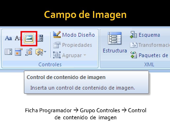 Campo de Imagen Ficha Programador Grupo Controles Control de contenido de imagen 
