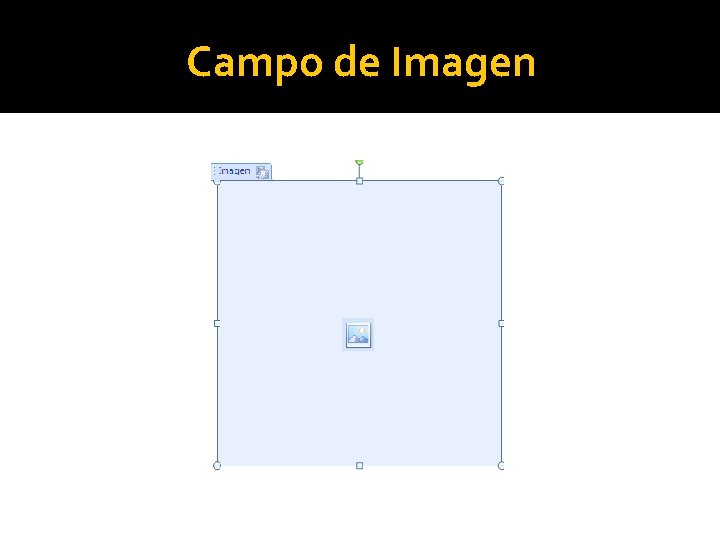Campo de Imagen 