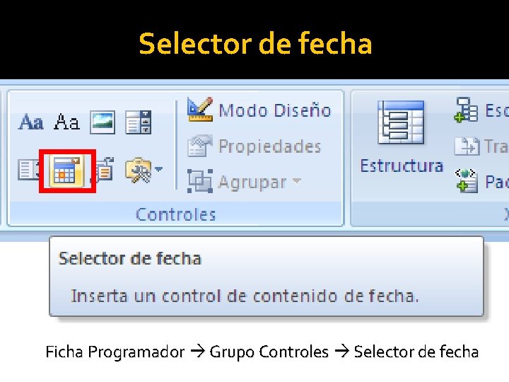 Selector de fecha Ficha Programador Grupo Controles Selector de fecha 