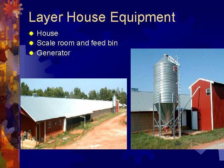 Layer House Equipment House ® Scale room and feed bin ® Generator ® 