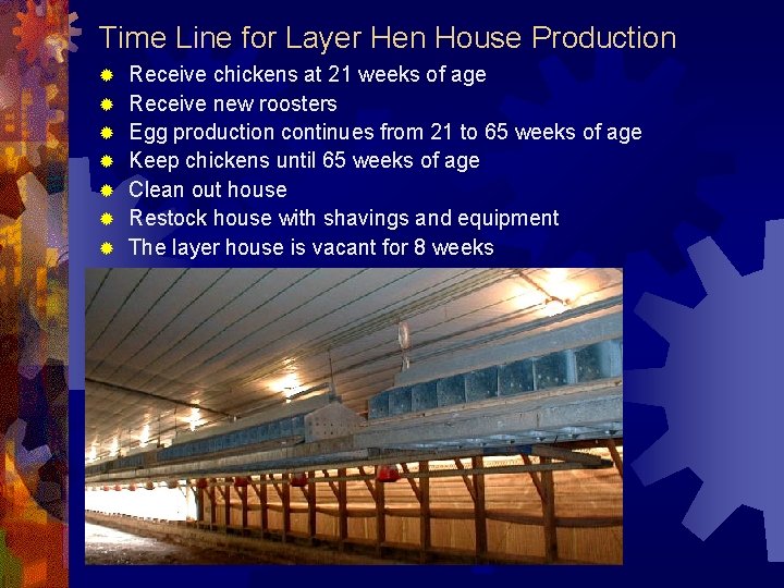 Time Line for Layer Hen House Production ® ® ® ® Receive chickens at