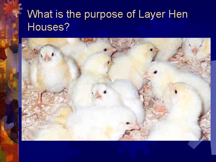 What is the purpose of Layer Hen Houses? 