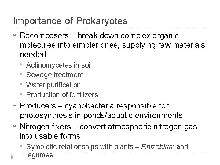 Importance of Prokaryotes Decomposers – break down complex organic molecules into simpler ones, supplying
