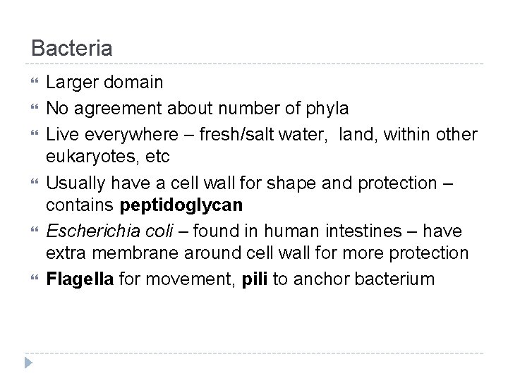 Bacteria Larger domain No agreement about number of phyla Live everywhere – fresh/salt water,