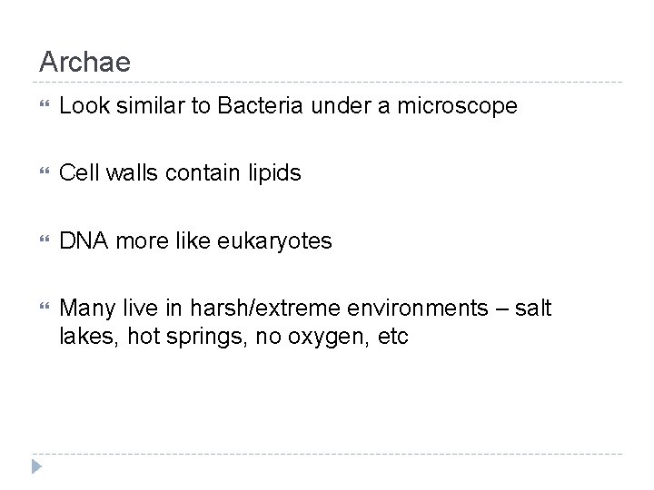 Archae Look similar to Bacteria under a microscope Cell walls contain lipids DNA more
