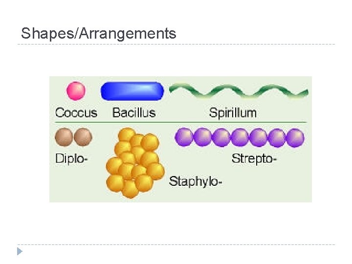 Shapes/Arrangements 