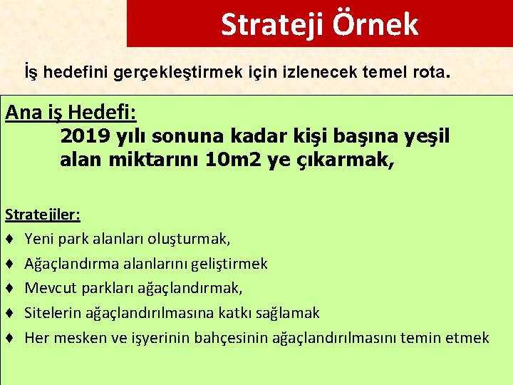 Strateji Örnek İş hedefini gerçekleştirmek için izlenecek temel rota. Ana iş Hedefi: 2019 yılı