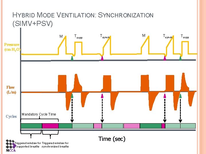 HYBRID MODE VENTILATION: SYNCHRONIZATION (SIMV+PSV) M Tsupp Tsynch Pressure (cm H 2 O) Flow