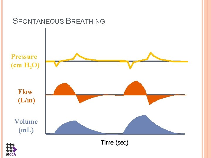 SPONTANEOUS BREATHING Pressure (cm H 2 O) Flow (L/m) Volume (m. L) Time (sec)