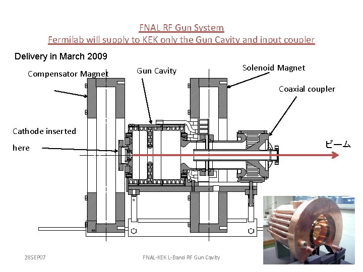 FNAL RF Gun System Fermilab will supply to KEK only the Gun Cavity and