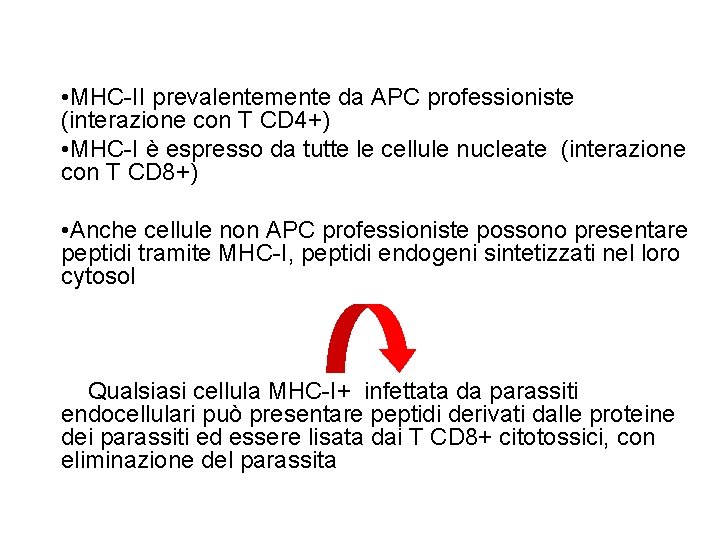  • • MHC-IIprevalentementeda da. APCprofessioniste (interazione con TT CD 4+) (interazione con CD