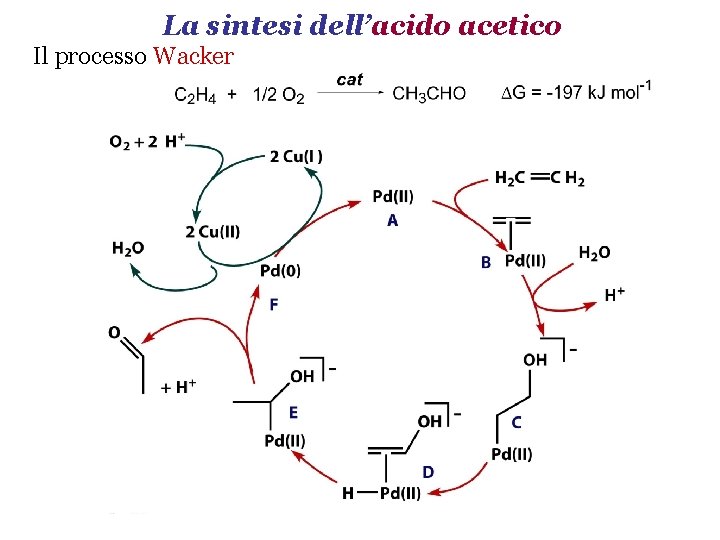 La sintesi dell’acido acetico Il processo Wacker 