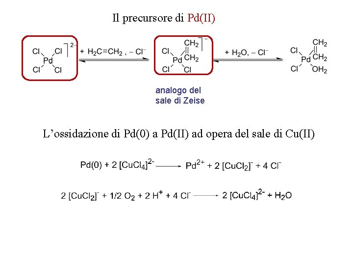 Il precursore di Pd(II) analogo del sale di Zeise L’ossidazione di Pd(0) a Pd(II)
