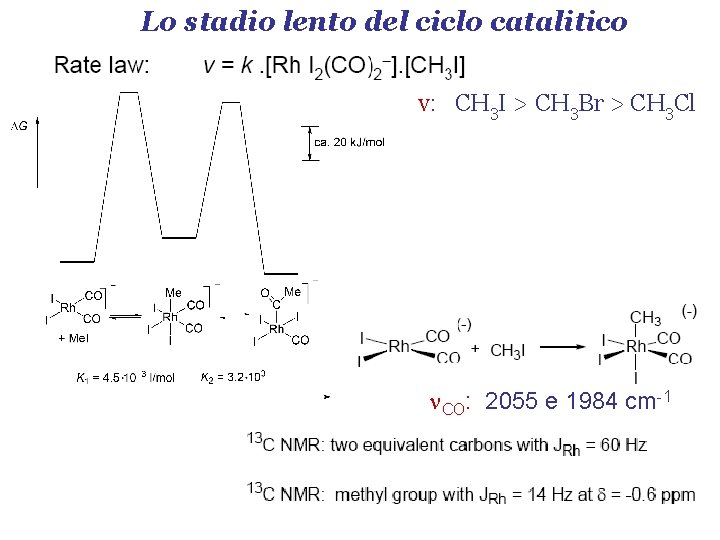 Lo stadio lento del ciclo catalitico v: CH 3 I > CH 3 Br