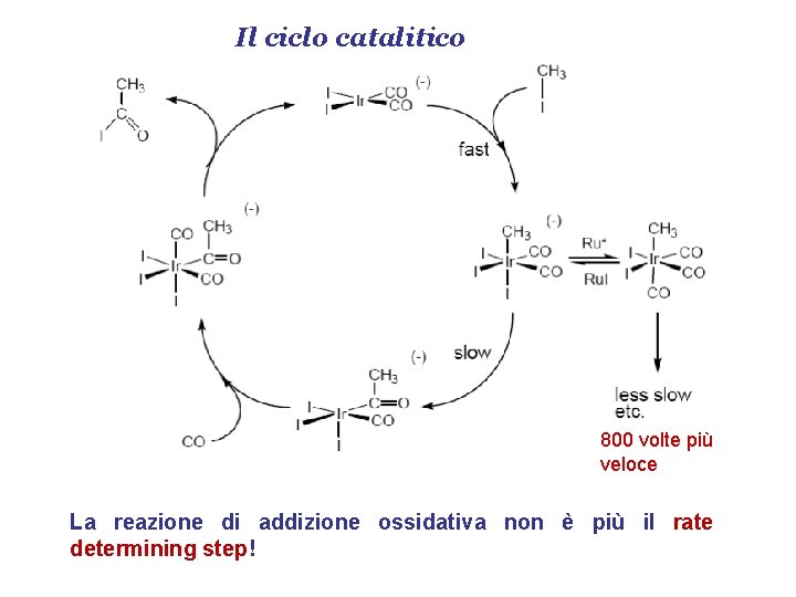Il ciclo catalitico 800 volte più veloce La reazione di addizione ossidativa non è