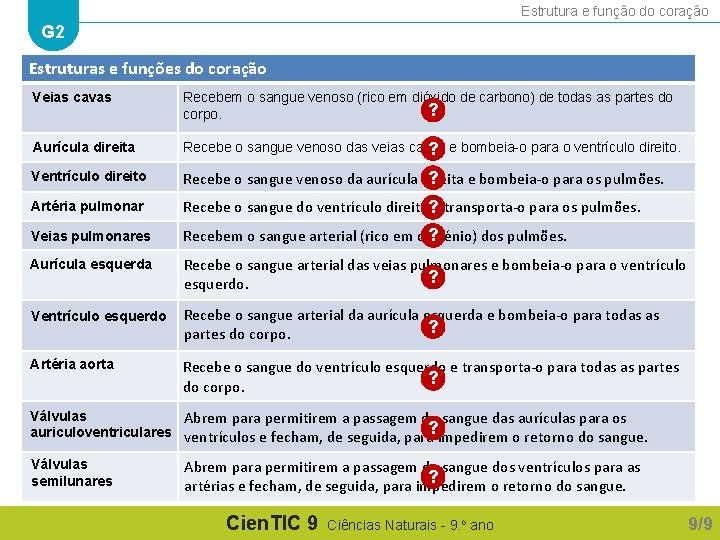 Estrutura e função do coração G 2 Estruturas e funções do coração Veias cavas Estrutura e função do coração G 2 Estruturas e funções do coração Veias cavas