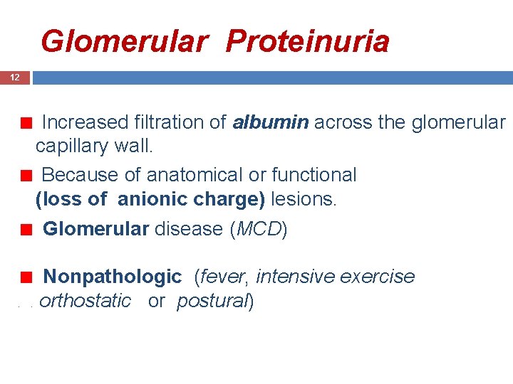 Glomerular Proteinuria 12 Increased filtration of albumin across the glomerular capillary wall. Because of