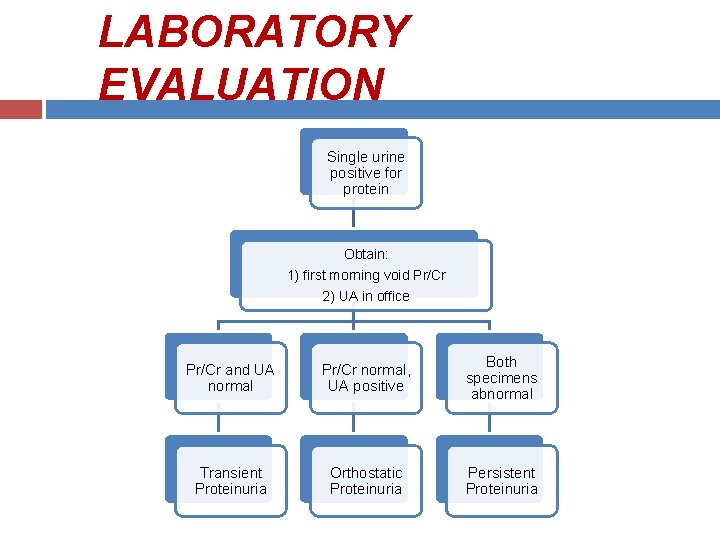 LABORATORY EVALUATION Single urine positive for protein Obtain: 1) first morning void Pr/Cr 2)