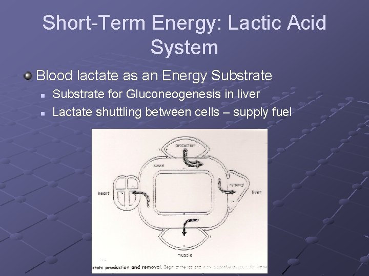 Short-Term Energy: Lactic Acid System Blood lactate as an Energy Substrate n n Substrate