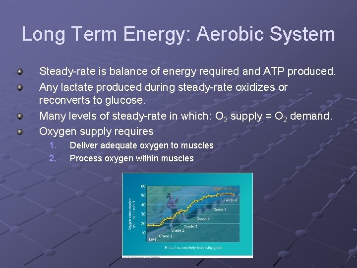 Long Term Energy: Aerobic System Steady-rate is balance of energy required and ATP produced.